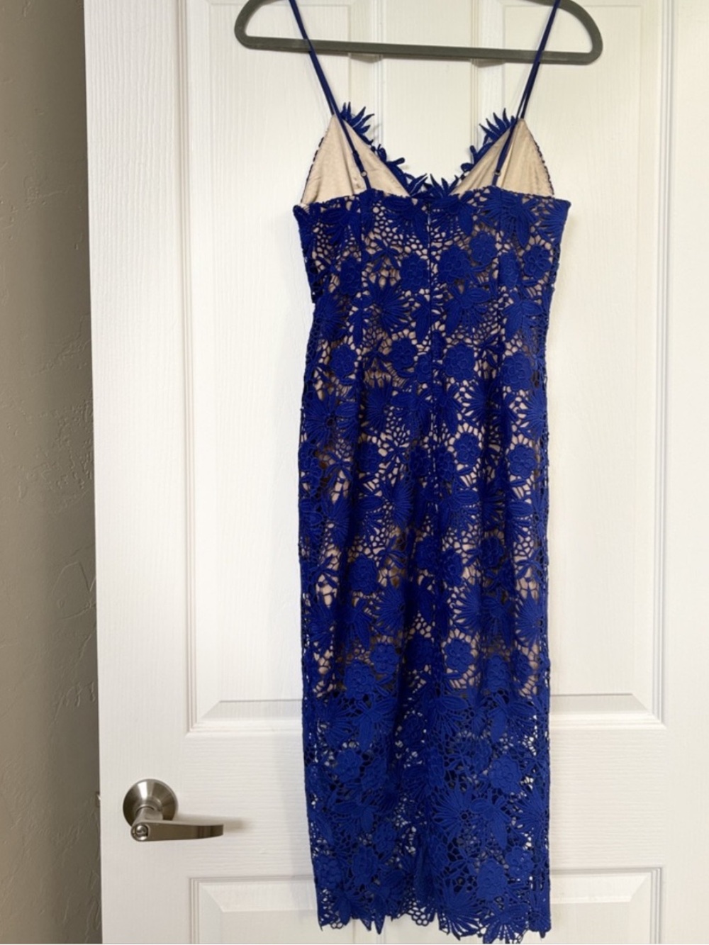 Bardot Royal Blue Lace Floral Midi Dress - Picture 5 of 13